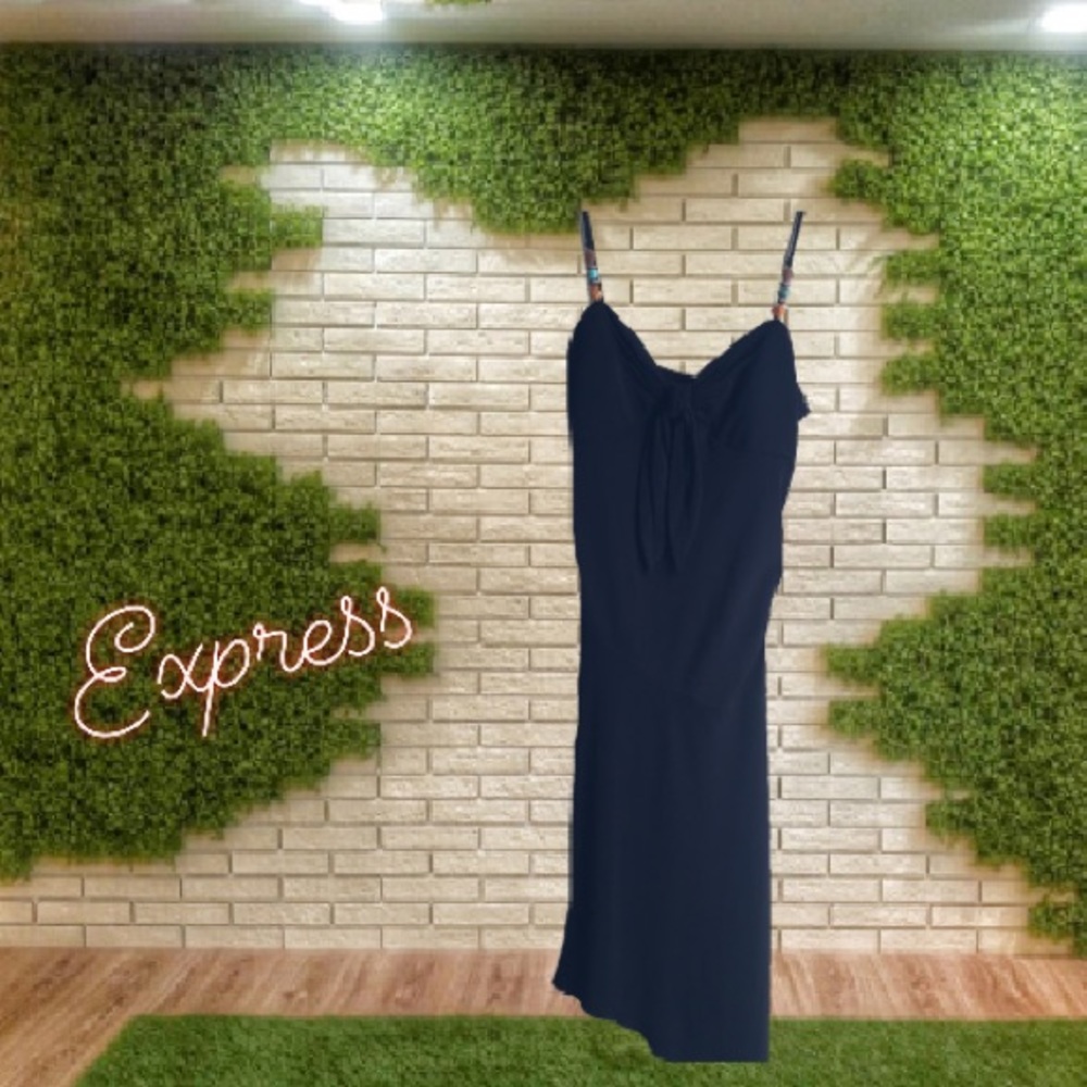 EXPRESS dress